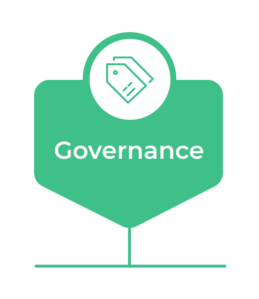 Bridge To Knowledge Governance
